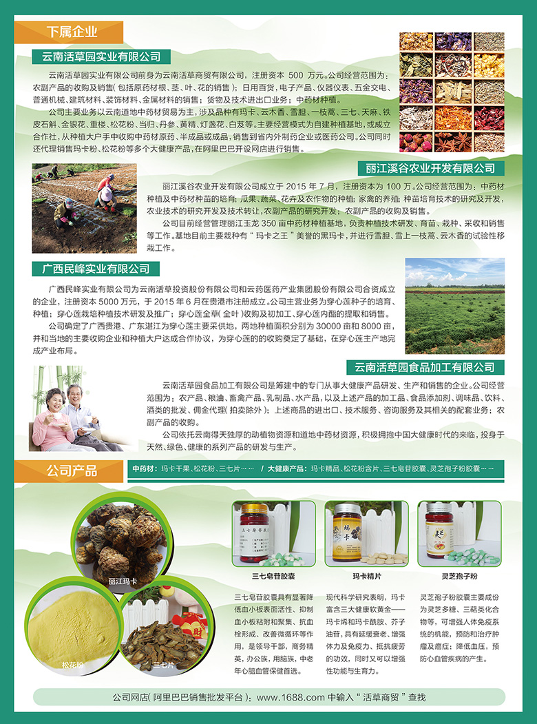 云南活草投资股份有限公司宣传单页