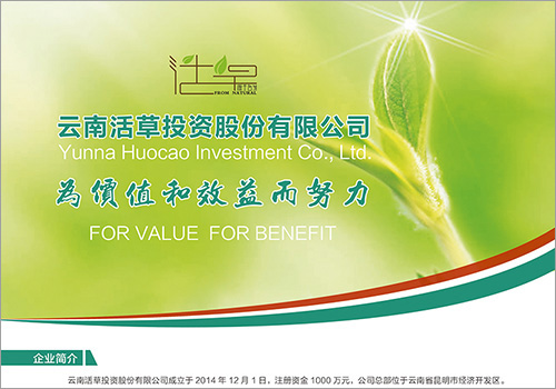 云南活草投资股份有限公司宣传单页-野峰作品集