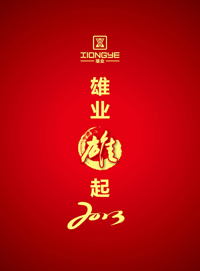 云南雄业集团《雄业雄起2013》封面