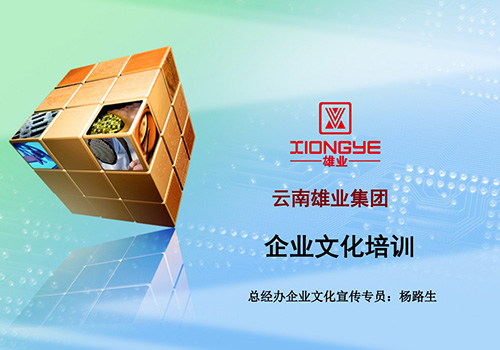 云南雄业集团企业文化培训讲义-野峰窝