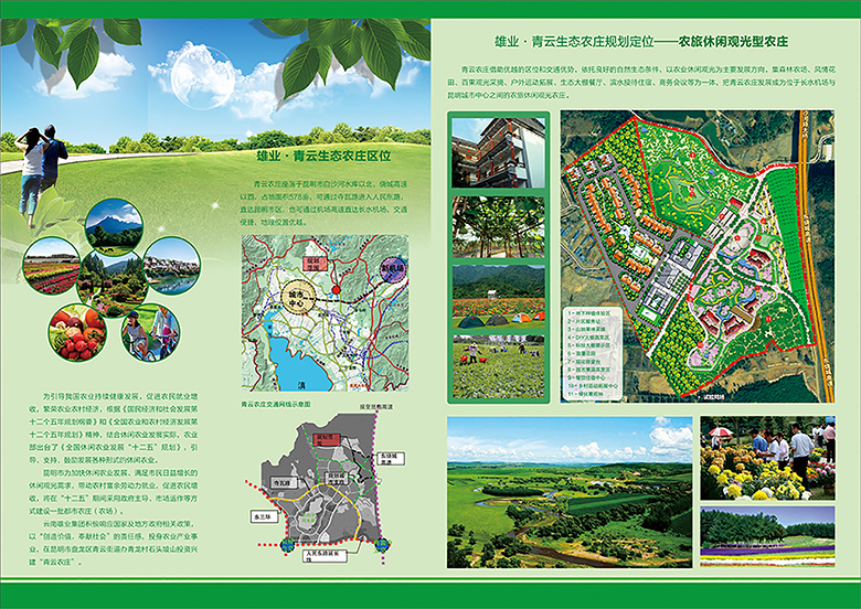云南雄业集团青云生态农庄宣传单页