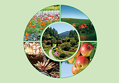 云南雄业集团青云生态农庄宣传单页-野峰作品集