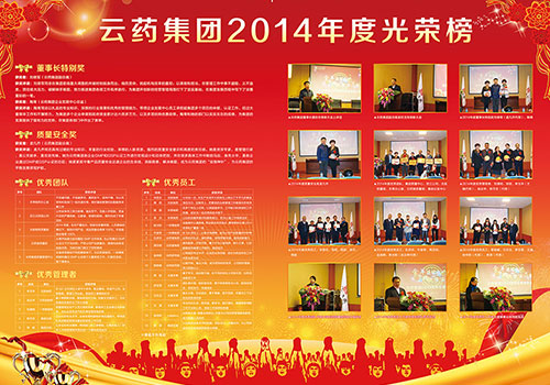 云药医药产业集团股份有限公司2014年度光荣榜-野峰作品集