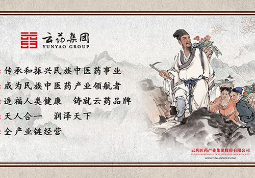云药医药产业集团股份有限公司企业文化-野峰作品集