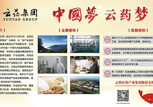 云药医药产业集团股份有限公司企业概况-野峰窝