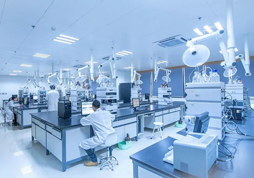 云药集团莱握生物向贵州省政府汇报材料-野峰窝