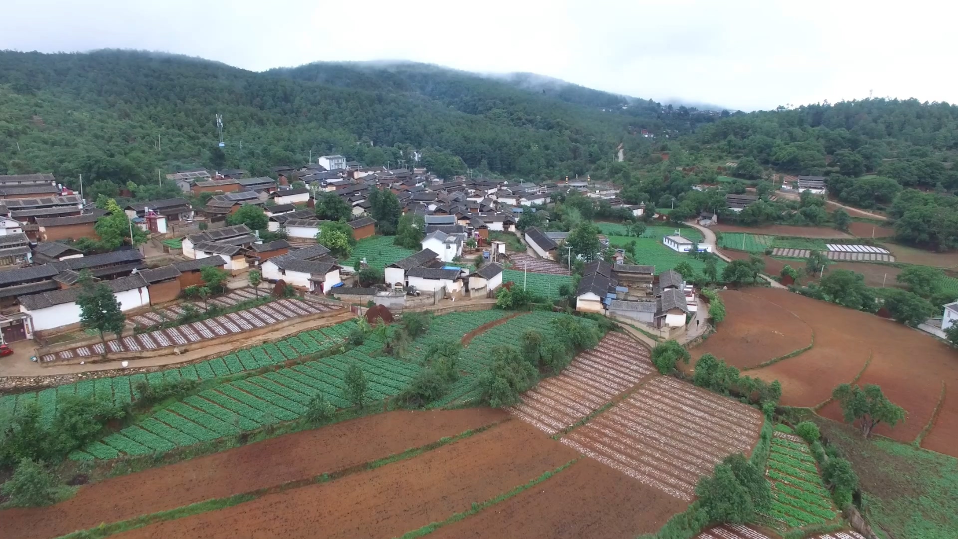幻灯片-野峰作品集