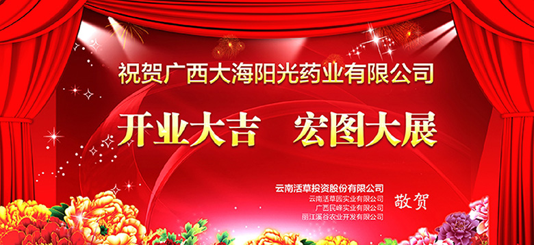 广西大海阳光药业有限公司开业贺卡