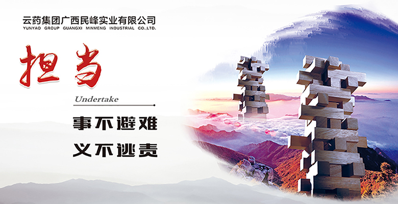 广西民峰实业有限公司企业文化展板