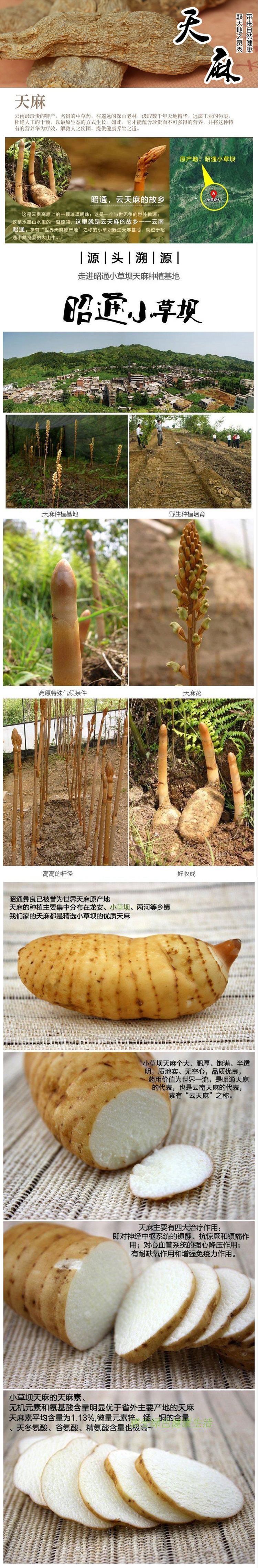 昭通小草坝天麻电商详情页