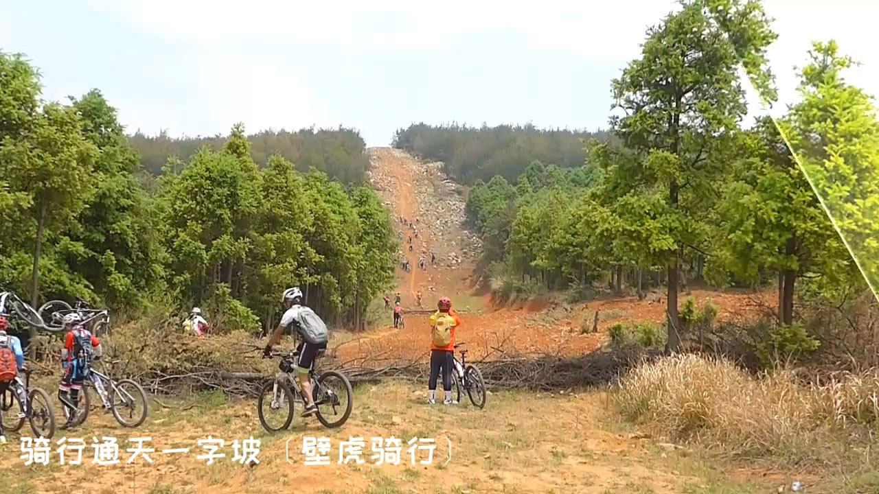 幻灯片-野峰作品集