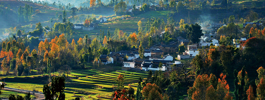 画册-野峰作品集