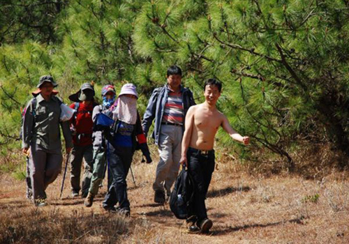 年计于春，走山匆闲-野峰窝