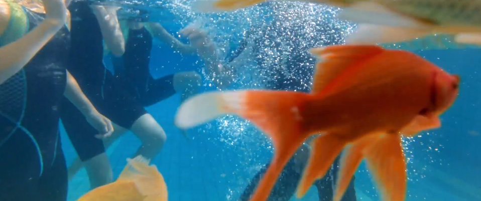 幻灯片-野峰作品集