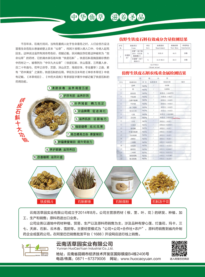云南活草园实业有限公司铁皮石斛宣传单页