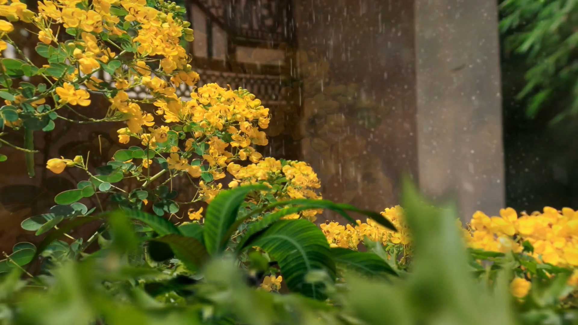 幻灯片-野峰作品集